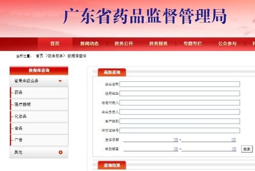 醫(yī)療器械產(chǎn)品技術(shù)要求開(kāi)放查詢 專(zhuān)業(yè)解讀與技術(shù)服務(wù)指南